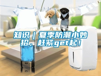 常見問題知識(shí)｜夏季防潮小妙招，趕緊get起！