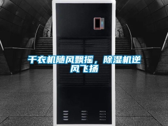 企業新聞干衣機隨風飄搖，除濕機逆風飛揚