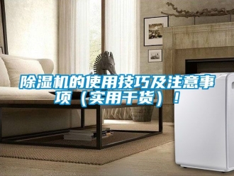 企業新聞除濕機的使用技巧及注意事項（實用干貨）！