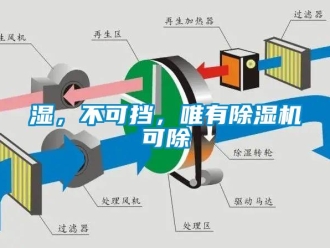 知識百科濕，不可擋，唯有除濕機(jī)可除