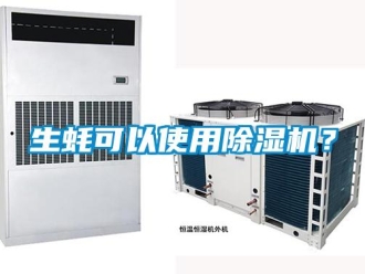 知識(shí)百科生蠔可以使用除濕機(jī)？