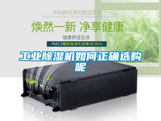 常見問題工業除濕機如何正確選購呢