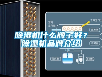 企業(yè)新聞除濕機(jī)什么牌子好？除濕機(jī)品牌介紹