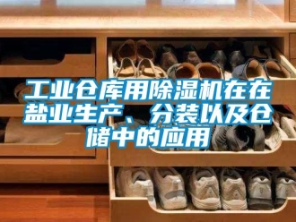 企業新聞工業倉庫用除濕機在在鹽業生產、分裝以及倉儲中的應用