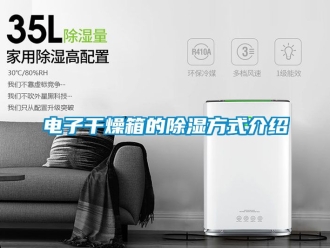 企業新聞電子干燥箱的除濕方式介紹