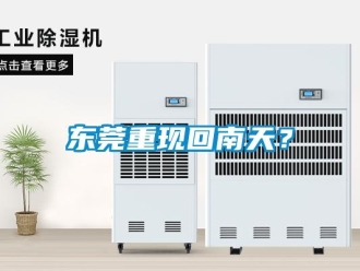 企業新聞東莞重現回南天？
