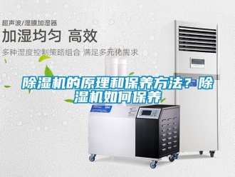 企業新聞除濕機的原理和保養方法？除濕機如何保養