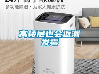 企業(yè)新聞高樓層也會(huì)返潮發(fā)霉