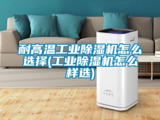 常見問題耐高溫工業(yè)除濕機(jī)怎么選擇(工業(yè)除濕機(jī)怎么樣選)