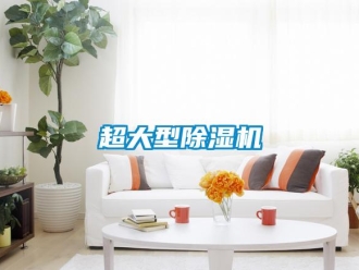 企業(yè)新聞超大型除濕機(jī)