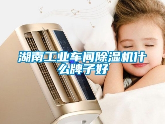 常見問題湖南工業車間除濕機什么牌子好