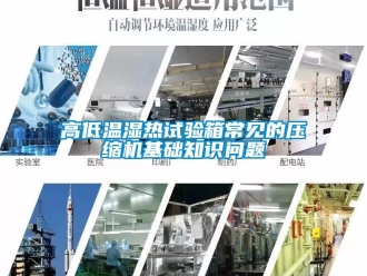 常見(jiàn)問(wèn)題高低溫濕熱試驗(yàn)箱常見(jiàn)的壓縮機(jī)基礎(chǔ)知識(shí)問(wèn)題