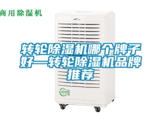 常見問題轉輪除濕機哪個牌子好—轉輪除濕機品牌推薦