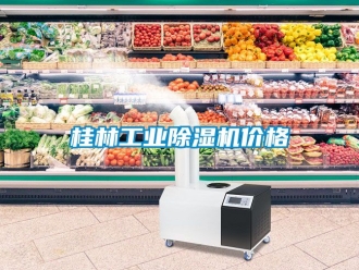 常見問題桂林工業(yè)除濕機價格