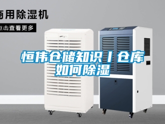 企業新聞恒偉倉儲知識丨倉庫如何除濕