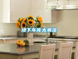 企業(yè)新聞地下車(chē)庫(kù)太潮濕