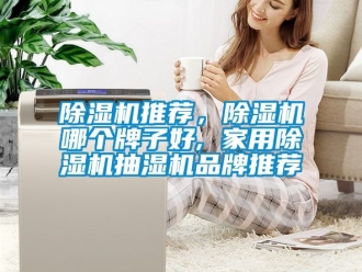 企業新聞除濕機推薦，除濕機哪個牌子好, 家用除濕機抽濕機品牌推薦