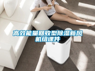 常見問題高效能量回收型除濕新風(fēng)機組課件