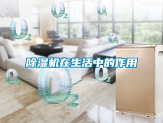 企業新聞除濕機在生活中的作用
