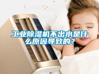 企業新聞工業除濕機不出水是什么原因導致的？