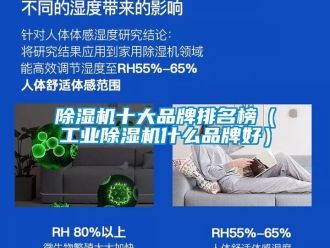 常見問題除濕機十大品牌排名榜（工業(yè)除濕機什么品牌好）
