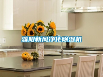 常見問題濮陽新風(fēng)凈化除濕機(jī)