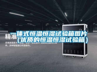 知識(shí)百科一體式恒溫恒濕試驗(yàn)箱圖片（優(yōu)質(zhì)的恒溫恒濕試驗(yàn)箱）