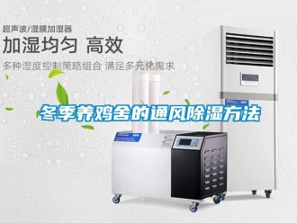 企業(yè)新聞冬季養(yǎng)雞舍的通風(fēng)除濕方法