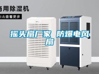企業新聞搖頭扇廠家 防爆電風扇