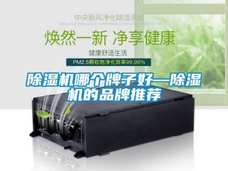 企業(yè)新聞除濕機(jī)哪個(gè)牌子好—除濕機(jī)的品牌推薦