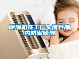 企業(yè)新聞除濕機在工廠車間倉庫內防潮除濕
