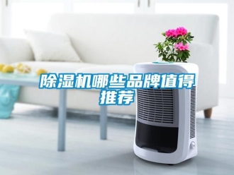 企業新聞除濕機哪些品牌值得推薦