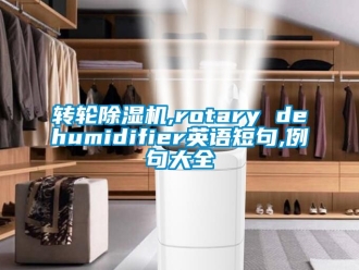 常見問題轉(zhuǎn)輪除濕機,rotary dehumidifier英語短句,例句大全