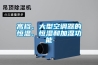 高檔、大型空調(diào)器的恒溫、恒濕和加濕功能
