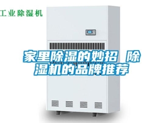 企業(yè)新聞家里除濕的妙招 除濕機(jī)的品牌推薦