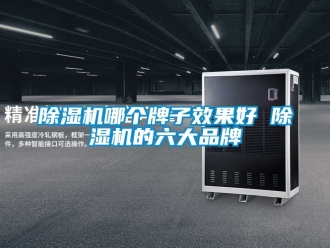 企業新聞除濕機哪個牌子效果好 除濕機的六大品牌