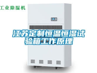 知識(shí)百科江蘇定制恒溫恒濕試驗(yàn)箱工作原理