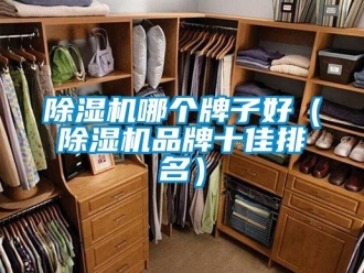 企業(yè)新聞除濕機哪個牌子好（除濕機品牌十佳排名）