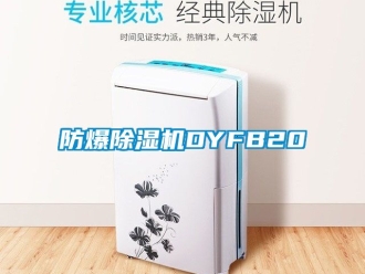 企業(yè)新聞防爆除濕機DYFB20