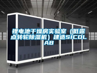 常見問題鋰電池干燥房實驗室（低露點轉(zhuǎn)輪除濕機）建造SICOLAB