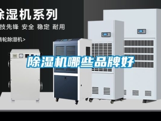 企業新聞除濕機哪些品牌好