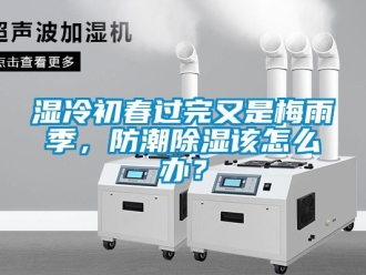 常見問題濕冷初春過完又是梅雨季，防潮除濕該怎么辦？
