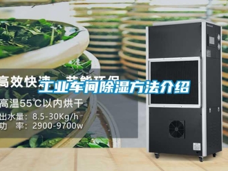 企業(yè)新聞工業(yè)車間除濕方法介紹