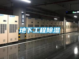 企業(yè)新聞地下工程除濕