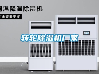 企業(yè)新聞轉(zhuǎn)輪除濕機(jī)廠家