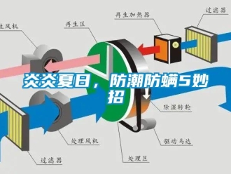 知識(shí)百科炎炎夏日，防潮防螨5妙招