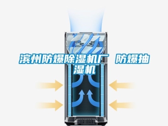 企業(yè)新聞濱州防爆除濕機(jī)廠(chǎng) 防爆抽濕機(jī)