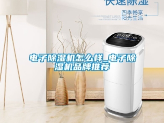 企業新聞電子除濕機怎么樣_電子除濕機品牌推薦