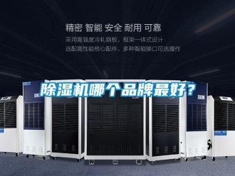 企業新聞除濕機哪個品牌最好？