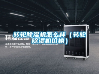 常見問題轉輪除濕機怎么樣（轉輪除濕機價格）